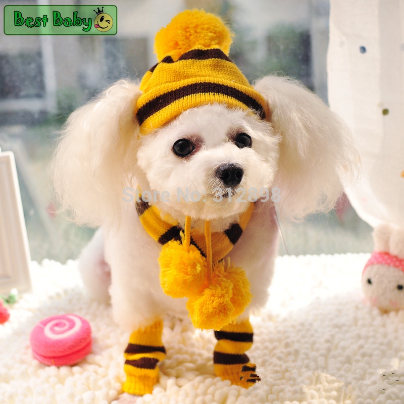 Accesorios de invierno para ca - Baby Products Expo reseña y precio